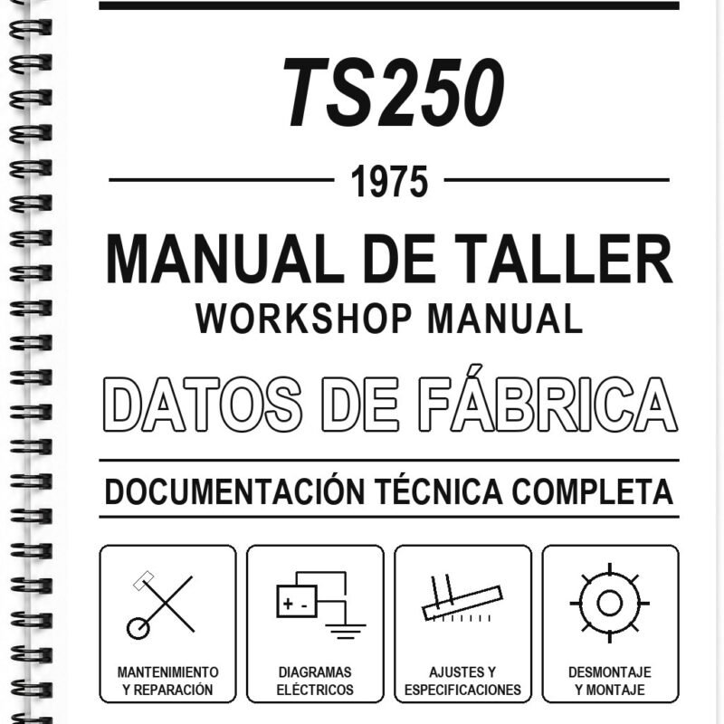 Manual de Taller MZ TS250 (1975)