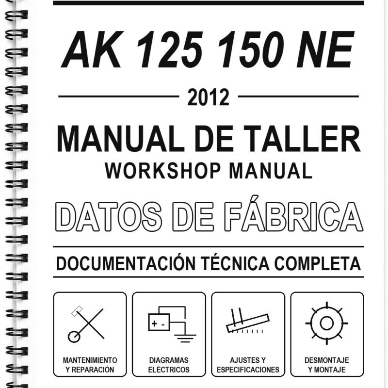 Manual de Taller AKT AK 125 150 NE (2012)