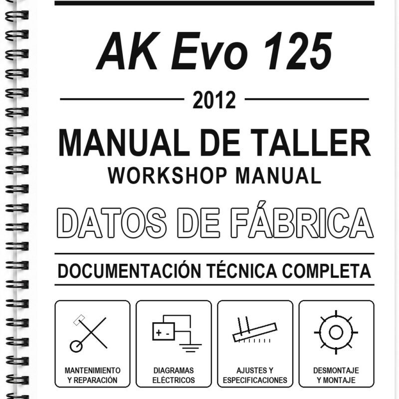 Manual de Taller AKT AK Evo 125 (2012)