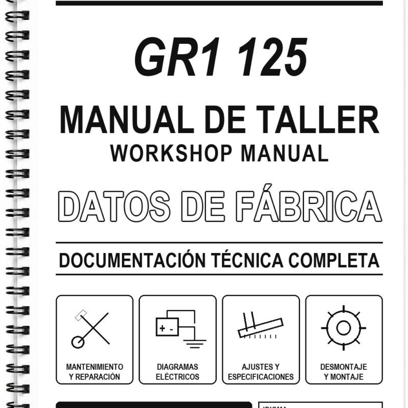 Manual de Taller Kymco GR1 125