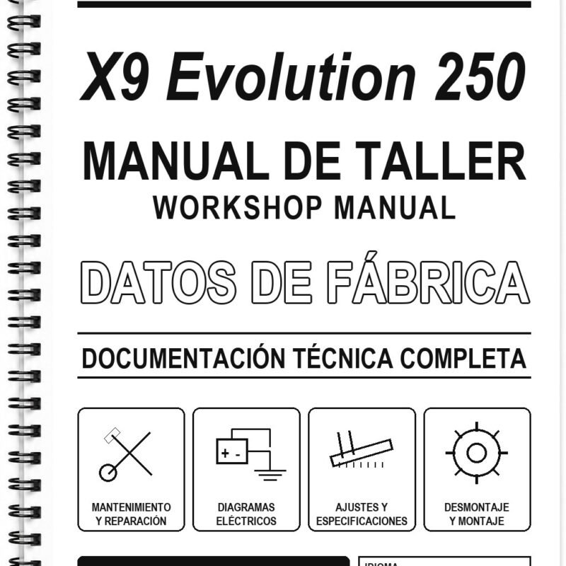 Manual de Taller Piaggio X9 Evolution 250 (Inglés)