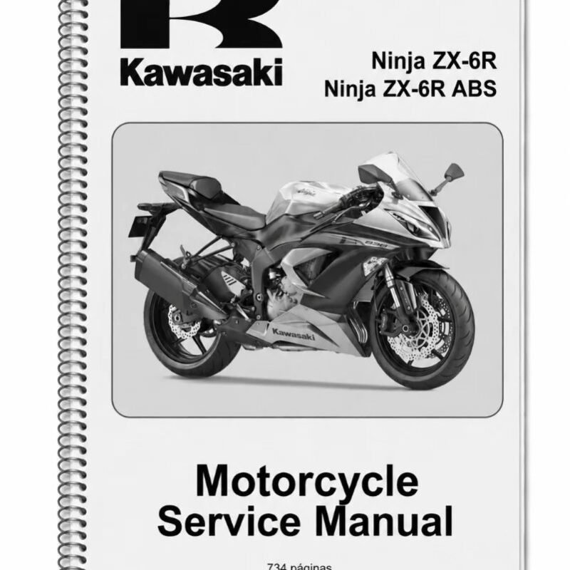 Manual de Taller Kawasaki ZX 636ED 2013