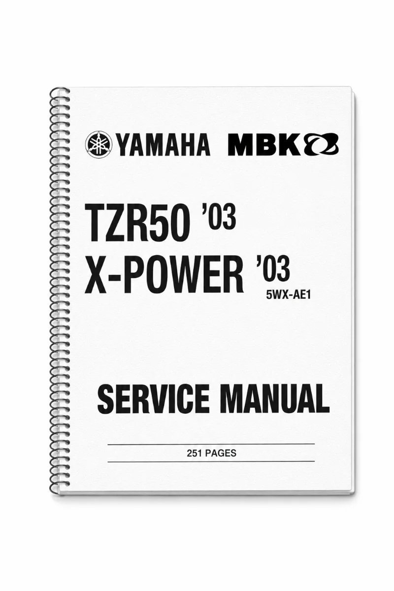 Manual de Taller Yamaha TZR50 X-POWER 2003