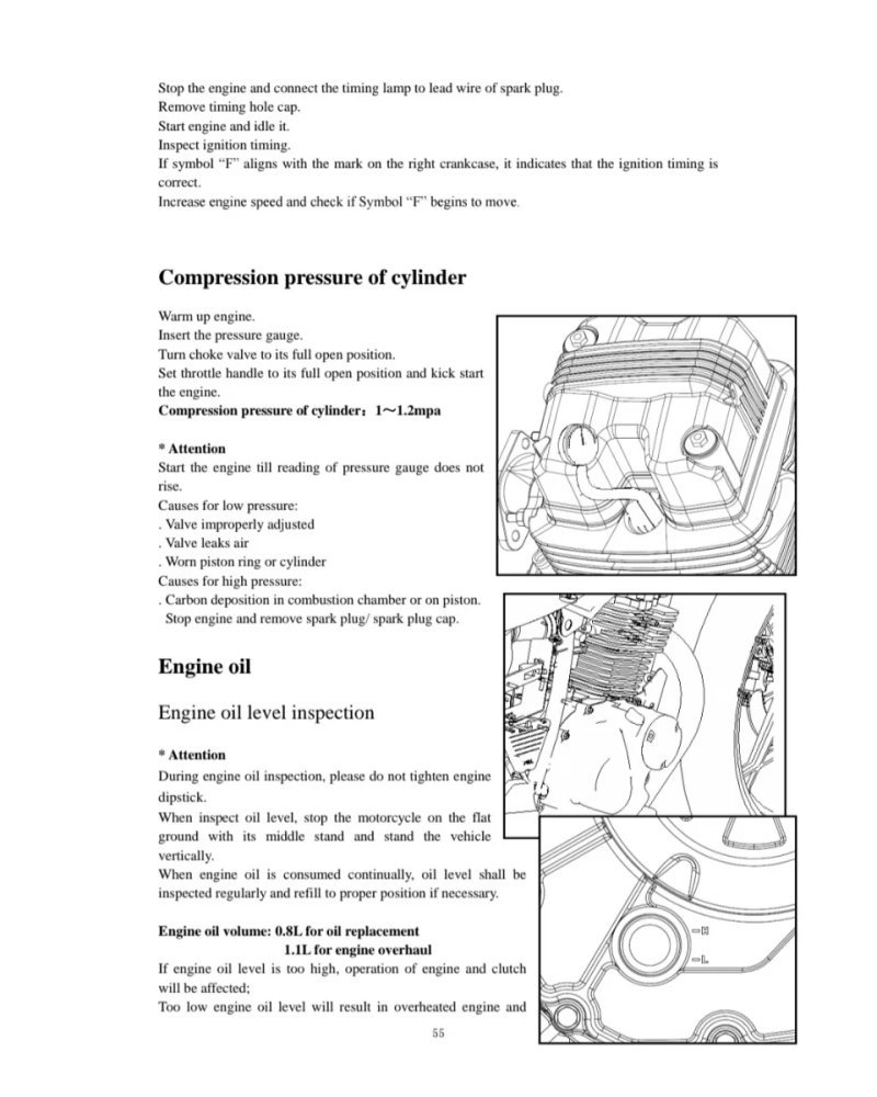 Manual de Taller RKV 200 2010 - Imagen 3