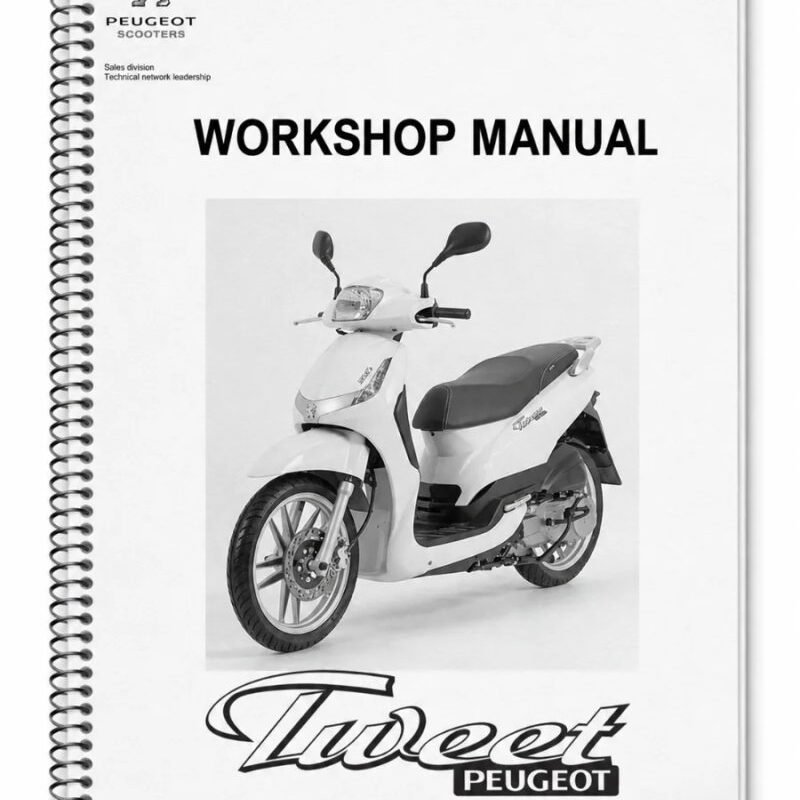 Manual de Taller Peugeot TWEET 2013