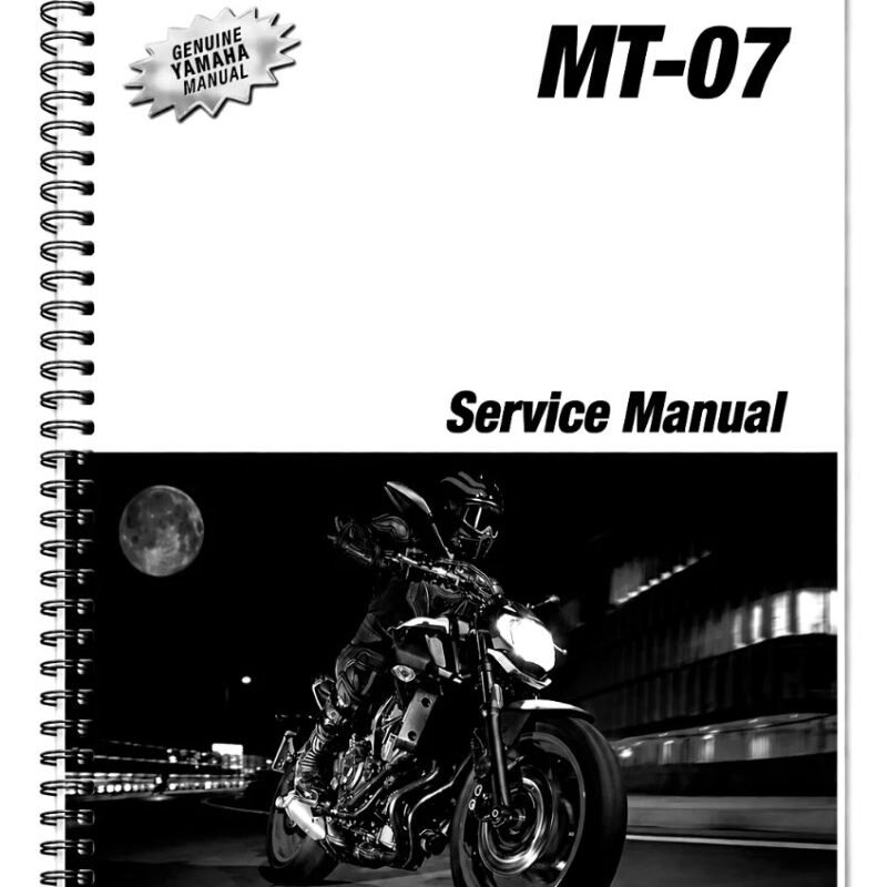 Manual de Taller Yamaha MT-07 2018