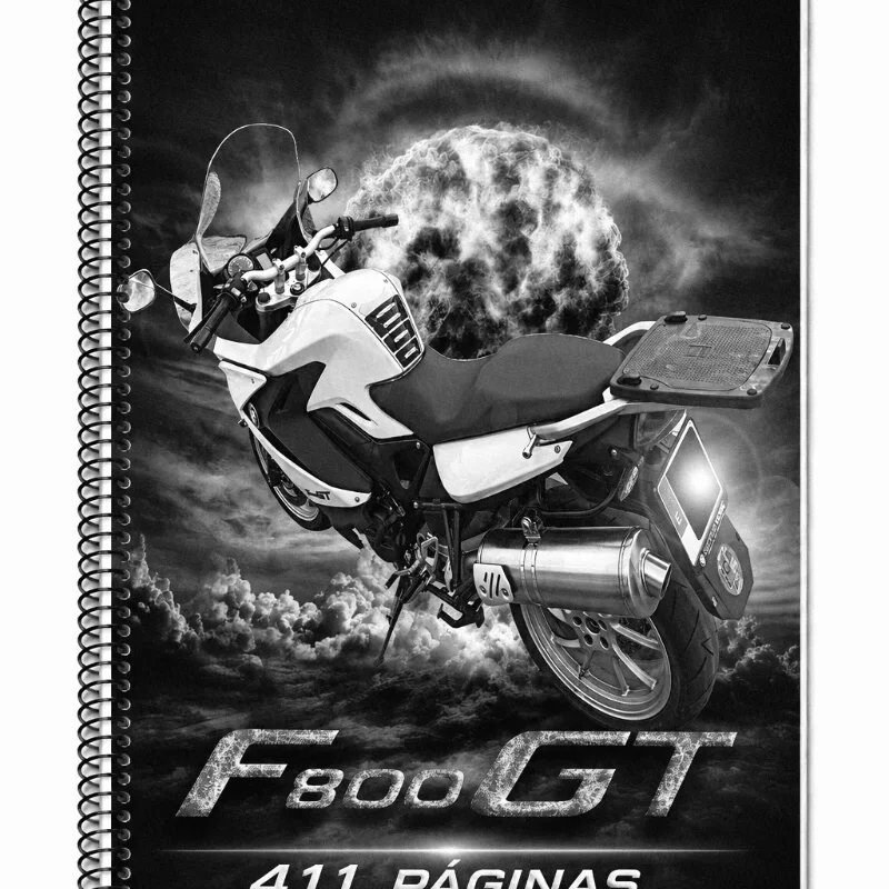 Manual de Taller BMW F 800 ST 2009
