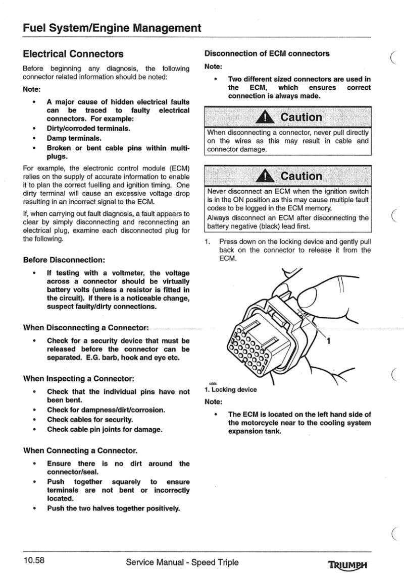 Manual de Taller Triumph SPEED 2005 - Imagen 3