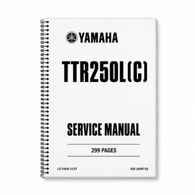 Manual de Taller Yamaha TTR250L(C) 1999