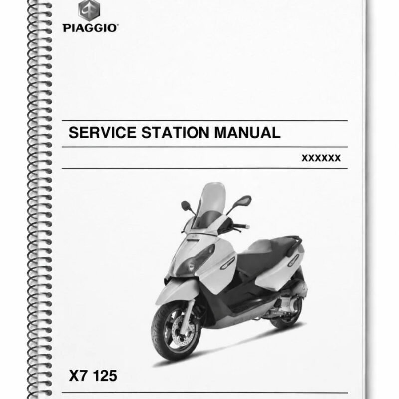 Manual de Taller Piaggio X7 125 2007