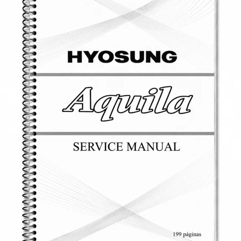 Manual de Taller Hyosung Comet 2003