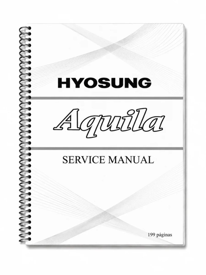 Manual de Taller Hyosung Comet 2003