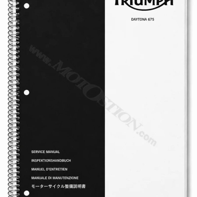 Manual de Taller Triumph DAYTONA 2008